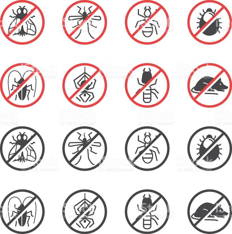 Mosquito Control Mosquito Control